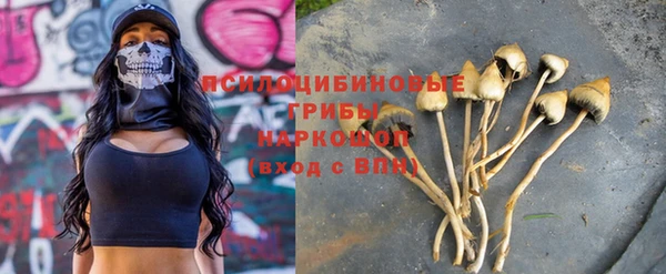 jwh Пролетарск