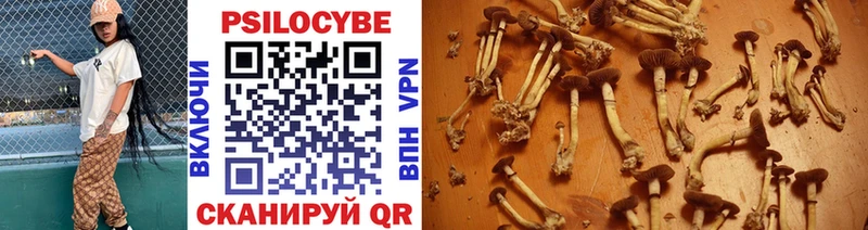 blacksprut ССЫЛКА  Алупка  Галлюциногенные грибы Psilocybe 